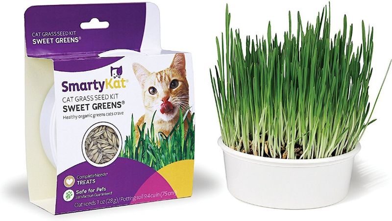 Photo 2 of SmartyKat Sweet Greens Cat Grass Seed 2 pack