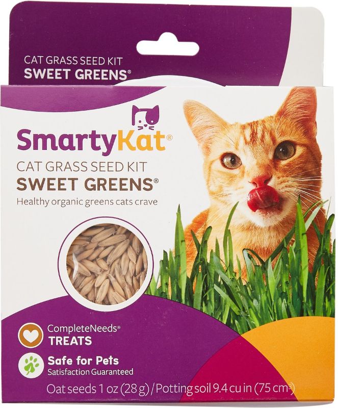 Photo 1 of SmartyKat Sweet Greens Cat Grass Seed 2 pack