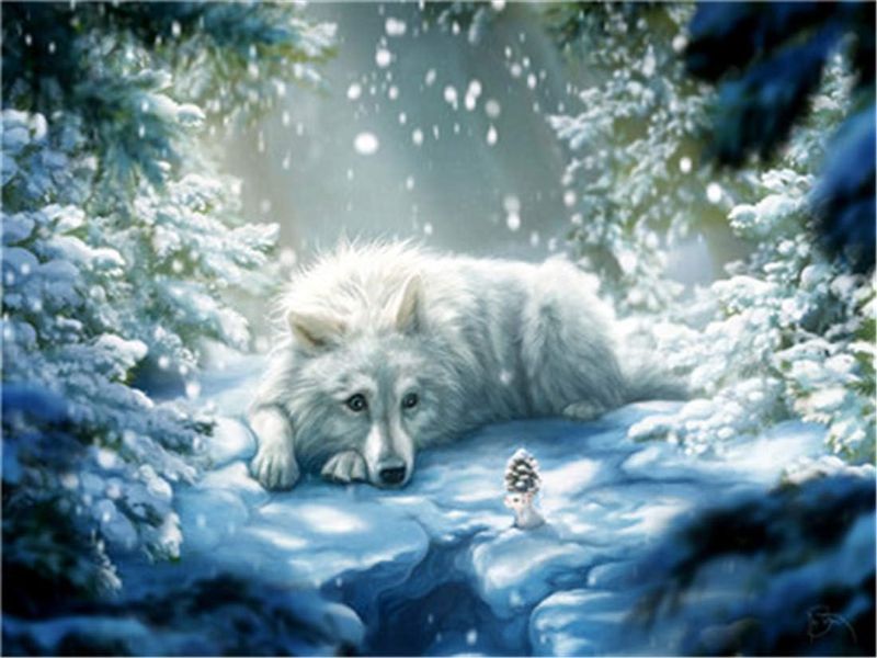 Photo 1 of DIY Oil Painting Paint by Number Kit for Kids Adults Beginner 16x20 inch - White Wolf, Drawing with Brushes Christmas Decor Decorations Gifts (Without Frame)