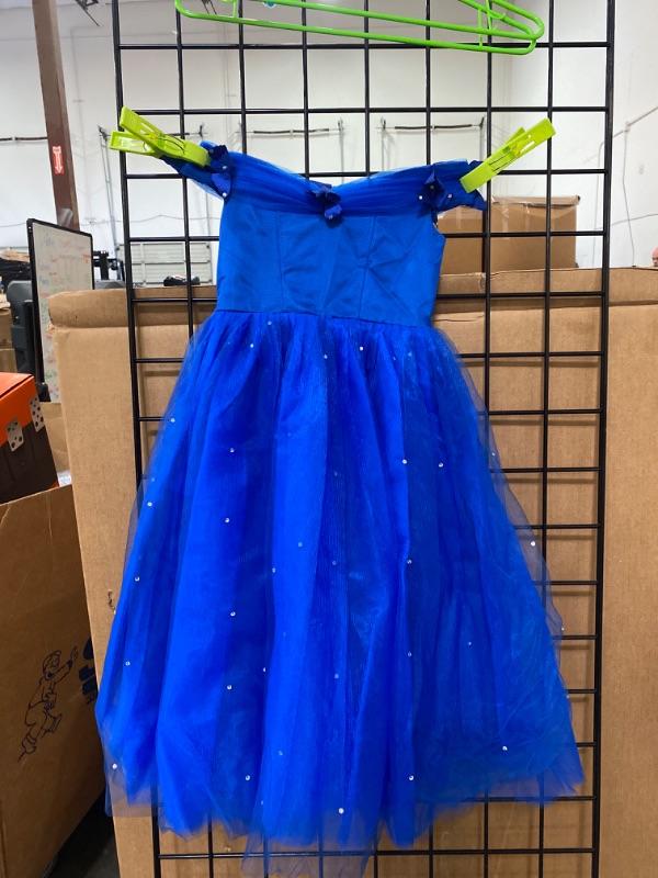 Photo 1 of Blue Cinderella Style Tulle Dress