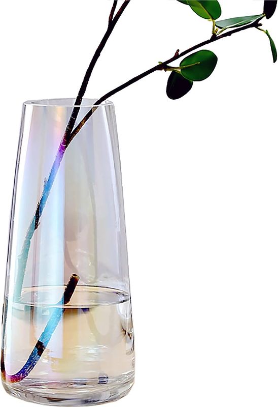 Photo 1 of FANTESTICRYAN Modern Glass Vase Irised Crystal Clear Glass Vase for Home Office Decor (Neon Clear)