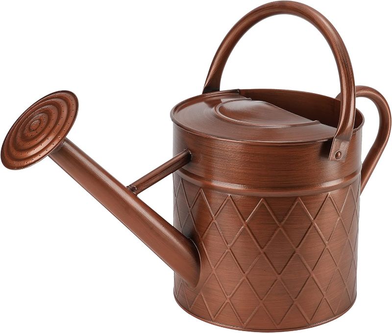Photo 1 of BLstyle 1.75 Gallon Outdoor Metal Watering Can for Garden Plants,Copper Color Watering Can with Removable Spray Spout, Ideal for Outdoor Use (Copper)
