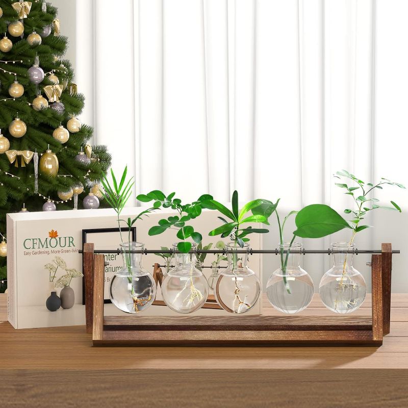 Photo 1 of Plant Terrarium with Wooden Stand (5 Bulb Vase)
