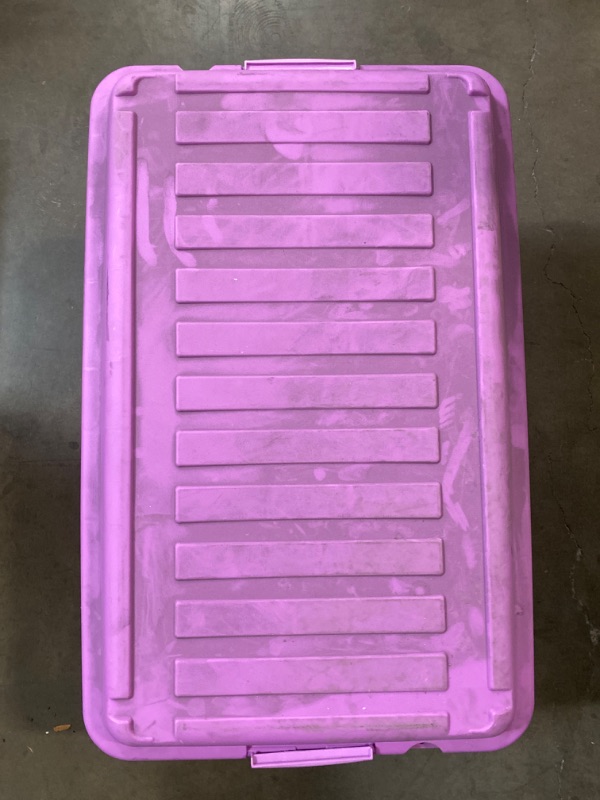 Photo 1 of Purple Storage Bin