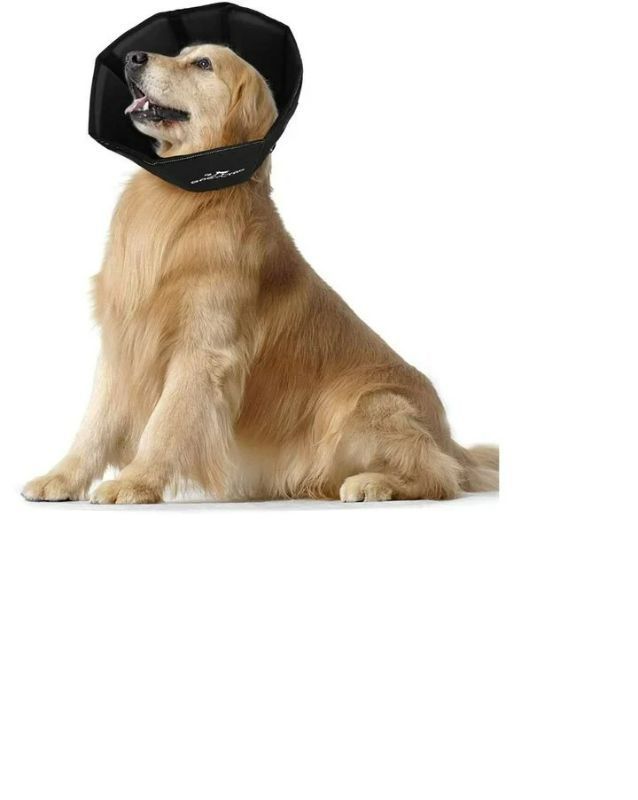 Photo 1 of BABYLTRL Soft Dog Cone Collar - Black