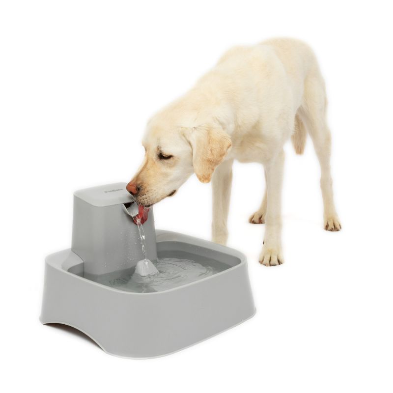 Photo 1 of PetSafe Drinkwell 2 Gallon Fountain - Automatic Water Bowl for Large Dogs