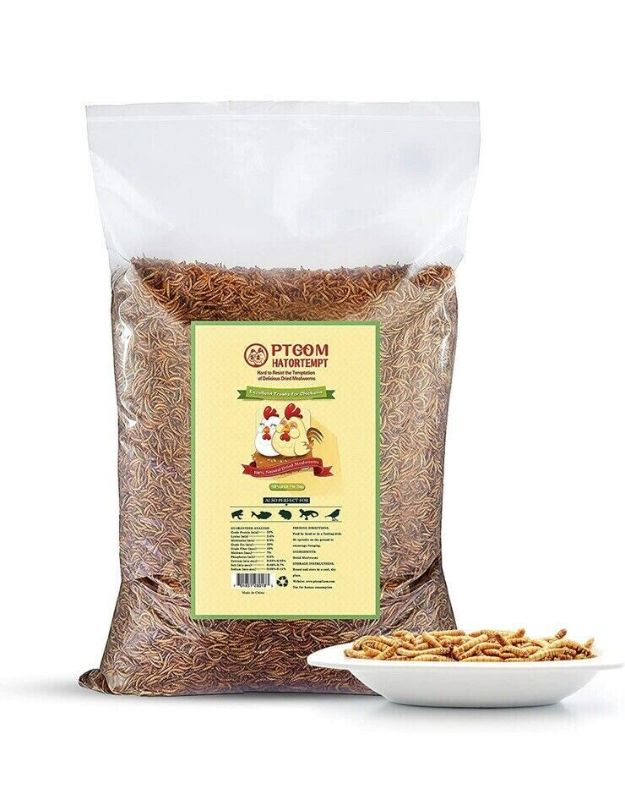 Photo 1 of Ptgom Hatortempt 10lbs Bulk Non-GMO Dried Mealworms
