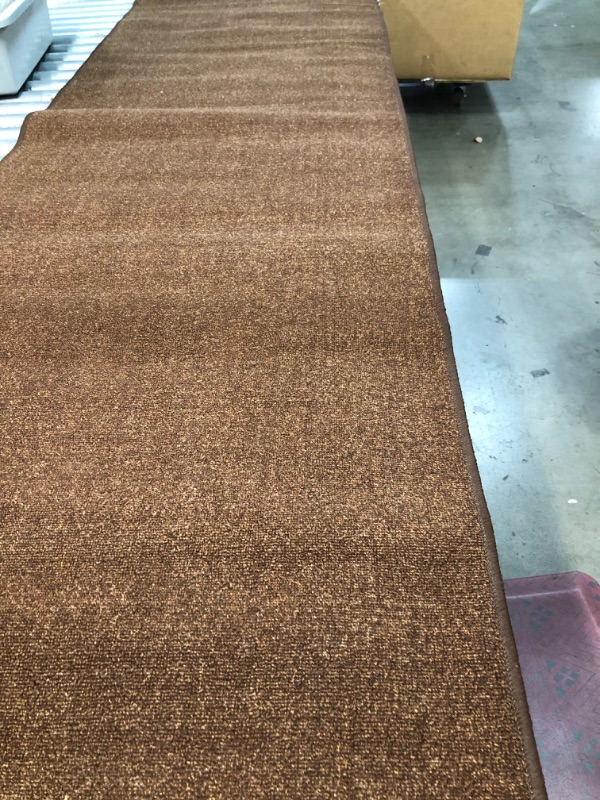 Photo 1 of 2'7"X 9'7" BROWN RUNNER