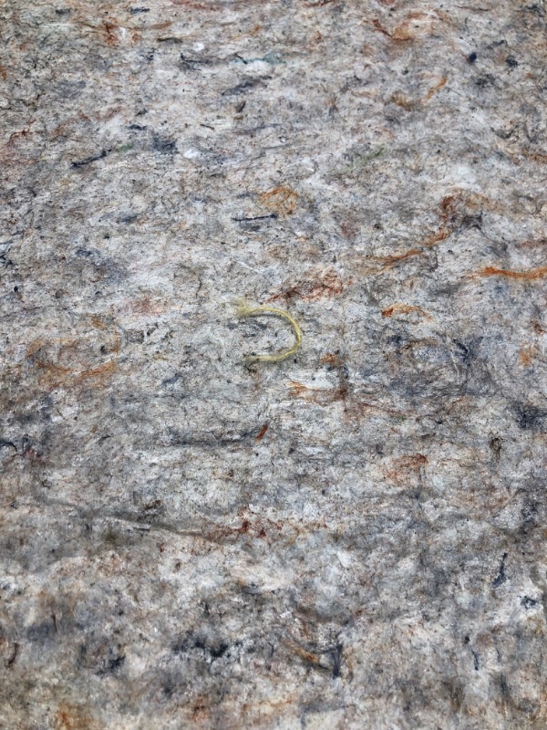 Photo 1 of 4'3 " X 6 '  1/2" Thick, Felt + Rubber, Non-Slip Cushion Rug Pad