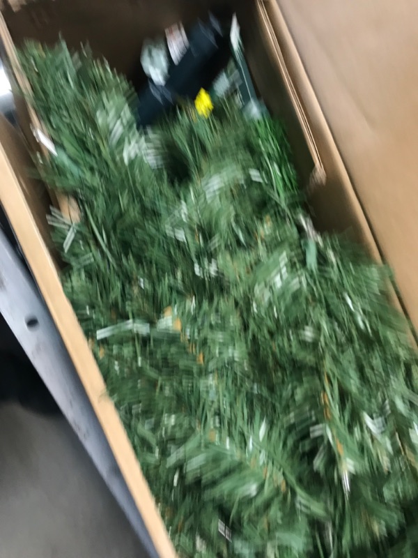 Photo 2 of **used-item**
National Tree Company Pre-Lit Artificial Full Christmas Tree, Green, Canadian Fir Grande, White Lights, Includes Stand, 4 Feet 4 ft 100 Clear Lights