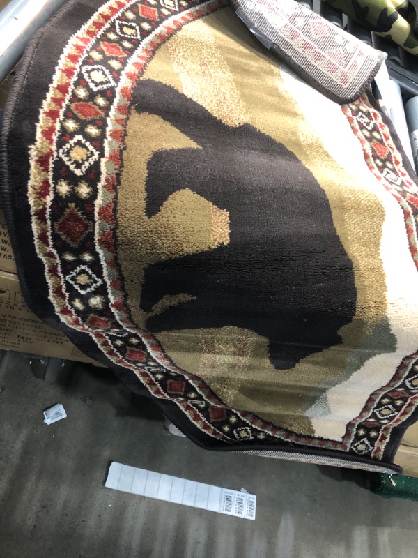 Photo 1 of 23x47  bear rug