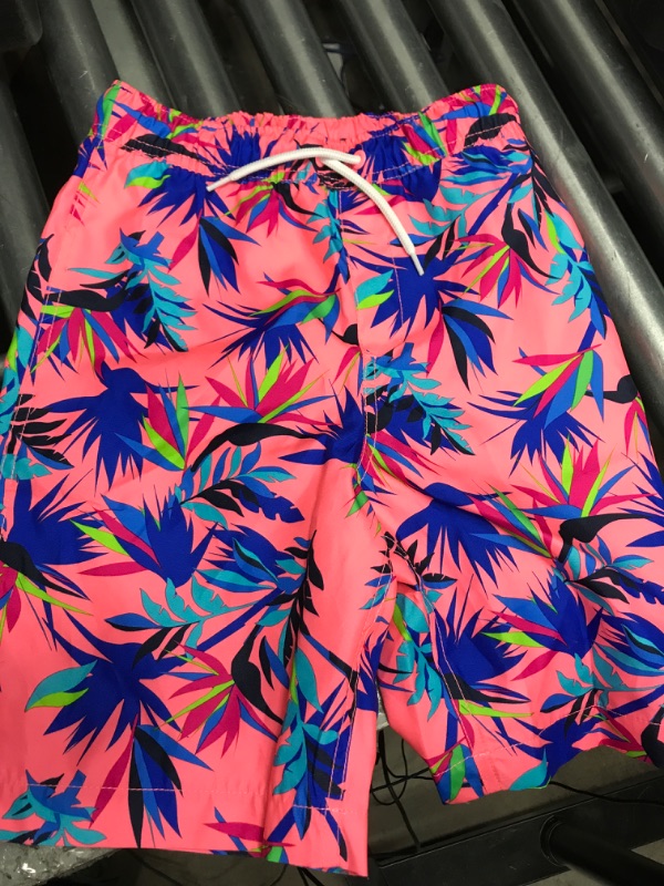Photo 1 of Lands End kid Swim Shorts  10(S) - 12(S)