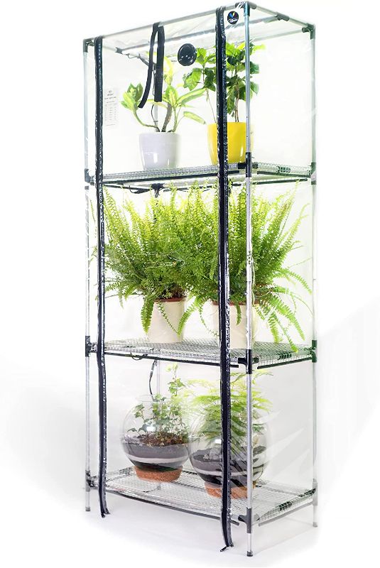 Photo 1 of 







VIDEO
Mini greenhouse with grow light Broody XL for Indoor Plant Care, with ultra clear Silicon cover, indoor greenhouse kit,portable greenhouse, Plant shelf, terrarium greenhouse,mini greenhouse grow light