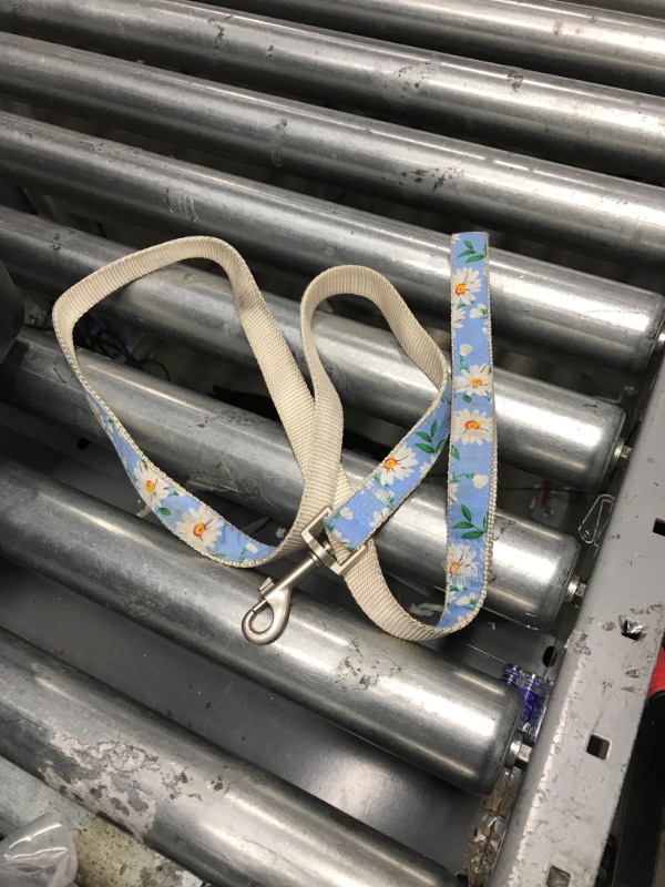 Photo 1 of 4ft Daisy Dog Leash, Unknown Brand