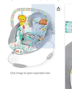 Photo 1 of Bright Starts Whimsical Wild Comfy Baby Bouncer Seat with Soothing Vibration and Music
