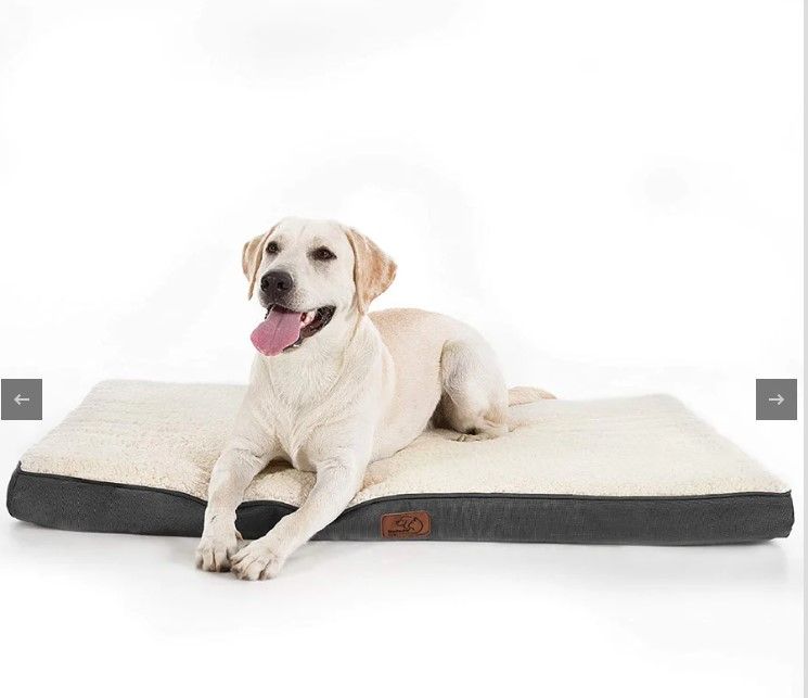 Photo 1 of medium washable dog bed 30x20x3