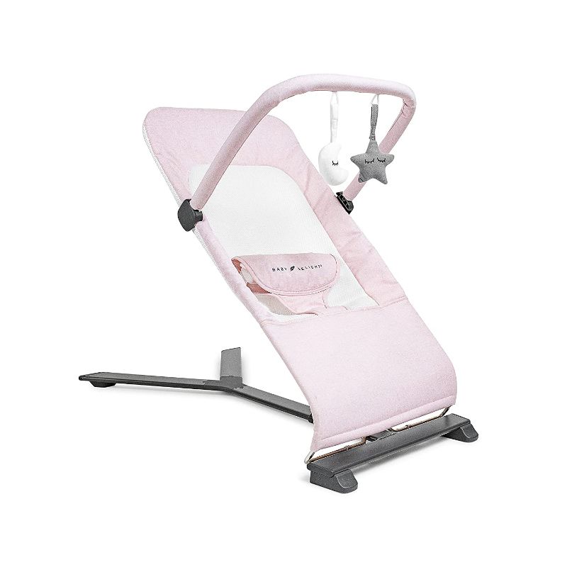 Photo 1 of **SEE NOTES** Baby Delight Alpine Deluxe Portable Bouncer | Infant | 0 – 6 Months | Peony Pink
