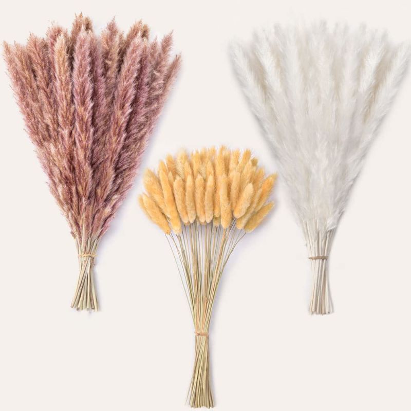 Photo 1 of 100 Pcs Dried Pampas Grass Decor - Pompass Grass Branches/ Dried Pompous Grass for Flower Arrangements Boho Decor(25 Pcs White Pampas Grass&25 Pcs Brown Pampas Grass&50 Pcs Dried Bunny Tails Flowers)
