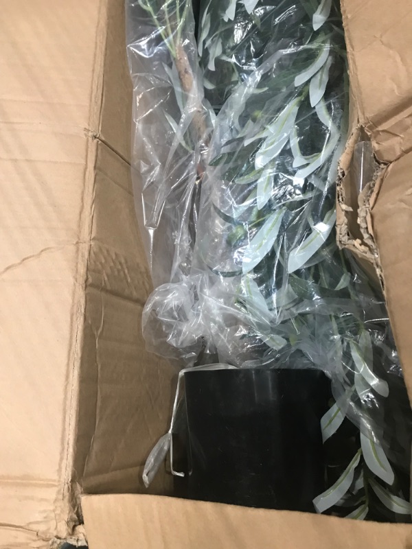 Photo 1 of  Ficus Artificial Trees, 2 PACK