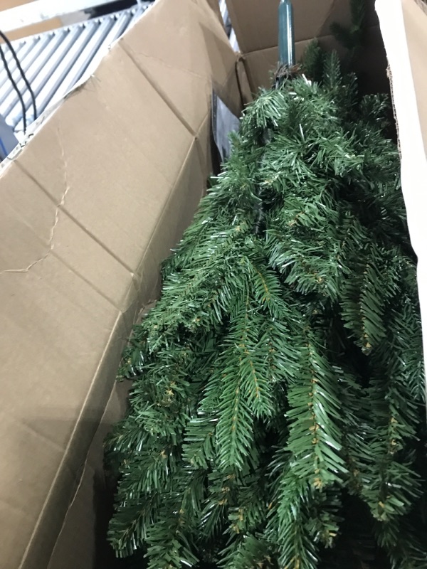 Photo 1 of *** USED *** CHRISTMAS TREE 3 FT 