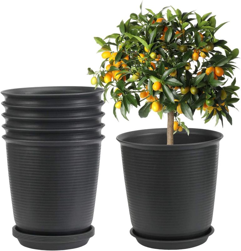 Photo 1 of 9.5 Inch Plant Pots, EHWINE 6 Pack Large Planters for Indoor Plants Plastic Plant Pots with Drainage Hole and Tray Flower Pots for Outdoor Garden Patio Large Plants, Black