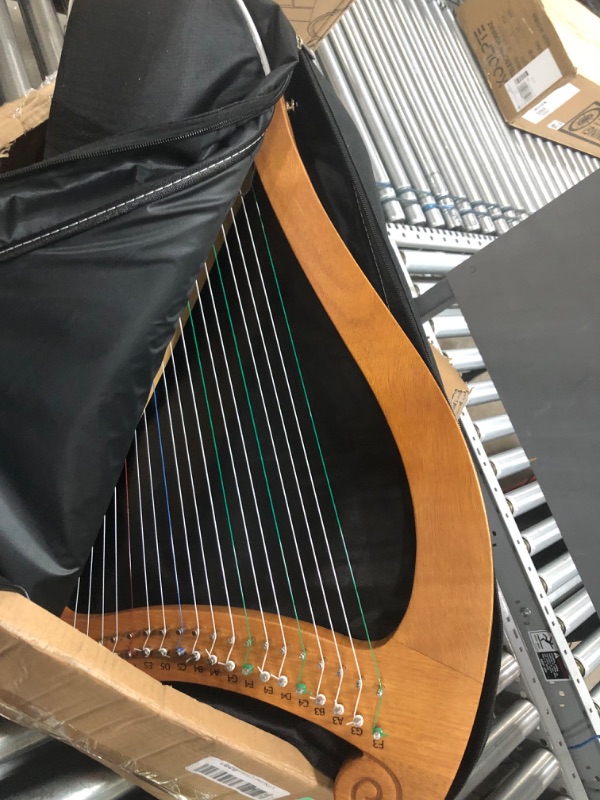 Photo 3 of 
Lyre Harp