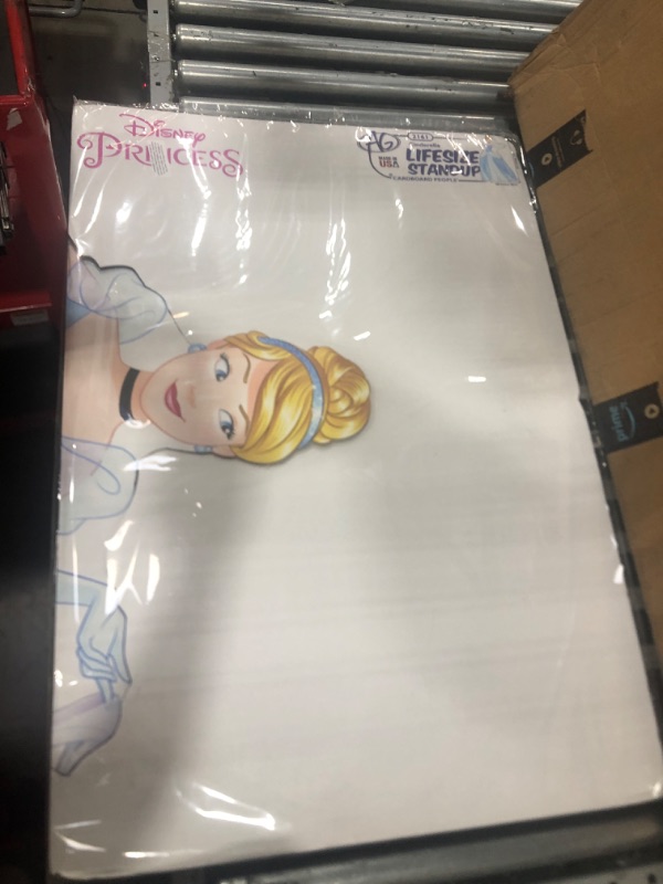 Photo 3 of Advanced Graphics Cinderella (Disney Princess Friendship Adventures) 64" x 45"