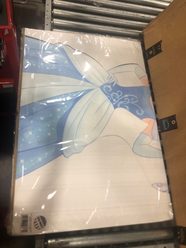 Photo 2 of Advanced Graphics Cinderella (Disney Princess Friendship Adventures) 64" x 45"