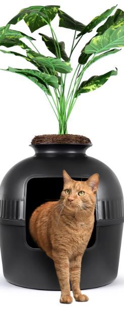 Photo 1 of  Photo for Reference Only****Hidden Litter Box for Cats - The Only Planter Furniture Litter Box on the Market - Easy to Assemble & Clean - Guests Will Never Know What it is!