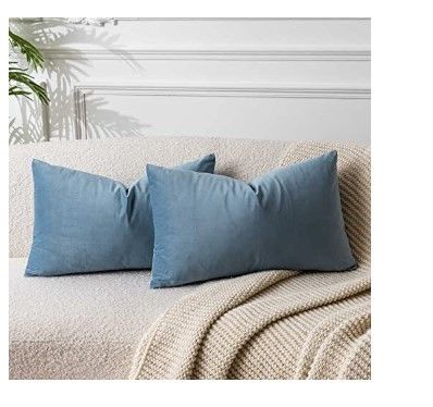 Photo 1 of 16x24 Light Blue Velvet Throw Pillow Cover Set Of 2decorative Soft Solid Cushion
