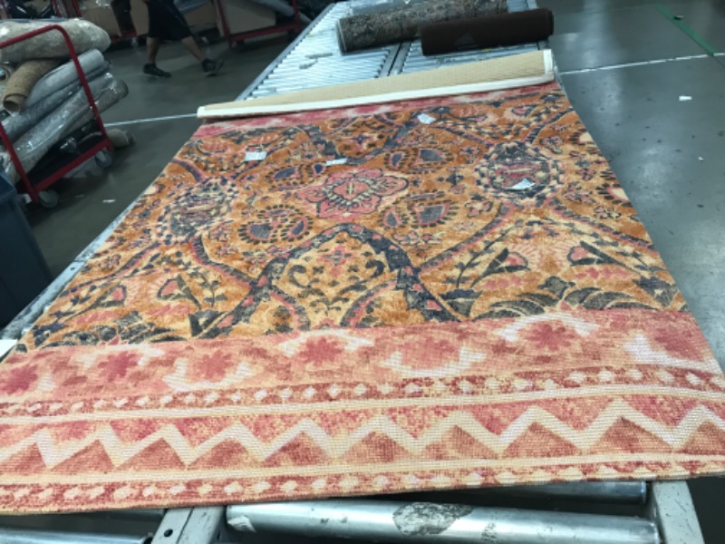 Photo 1 of 50 inch long  rug