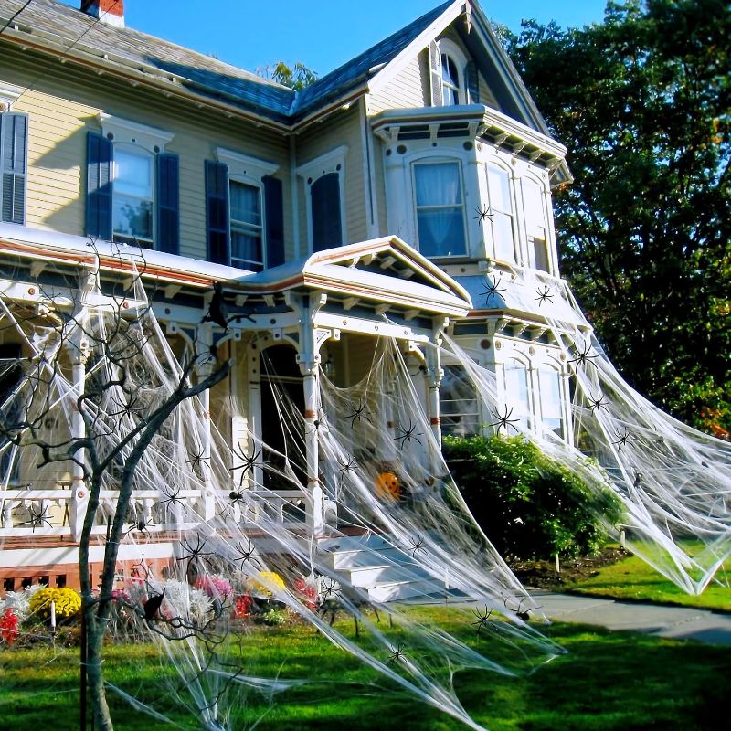 Photo 1 of 1200 sqft spider web