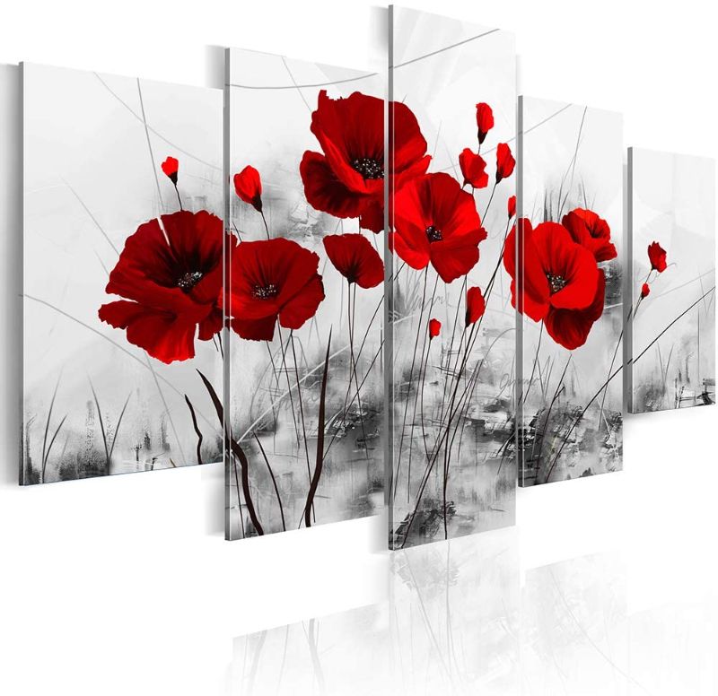 Photo 1 of Abstract Red Poppy Canvas Printings - BANMU ART - Modern Canvas Painting 5 Pieces Combined Flowers Posters Wall Pictures for Living Room (F-5pcs,40"x20")
