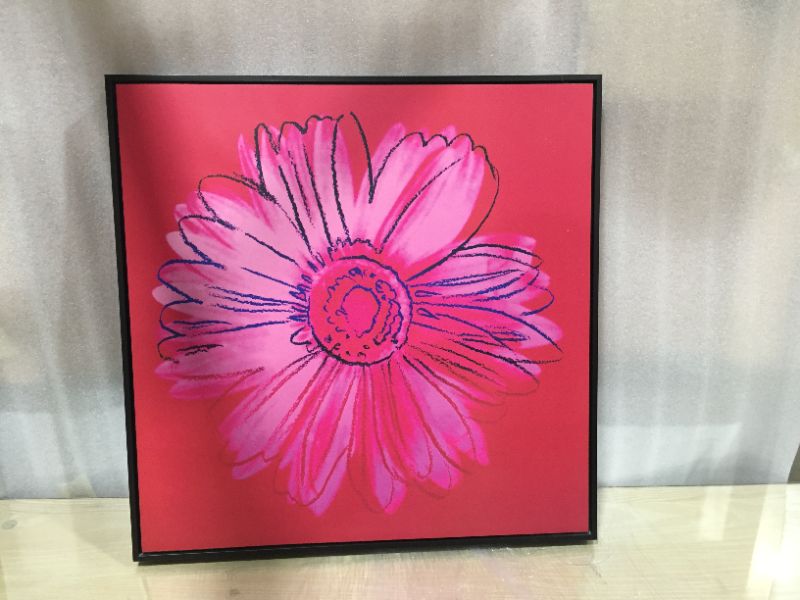 Photo 1 of Andy Wrahole Daisy Crimson and Pink 24 X 24 Inches