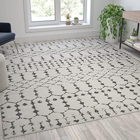 Photo 1 of Flash Furniture Geometric Bohemian Low Pile Rug - 8' x 10' - Ivory/Gray Polyester
