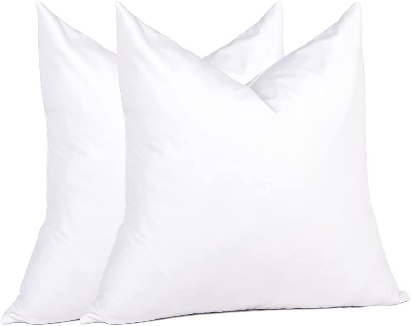 Photo 1 of 2 PACK 18 INCH THROW PILLOW GOOSE DOWN INSERTS
