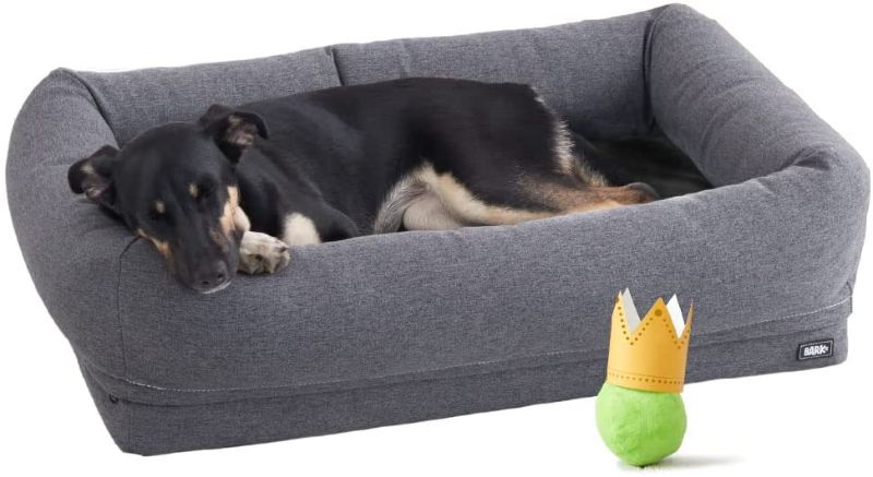 Photo 1 of BarkBox Memory Foam Dog Bed with High Density Foam Base for Orthopedic Joint Relief - Crate Lounger, Dog Couch or Sofa Pet Bed - Machine Washable Cover and Water-Resistant Lining - Toy Included
