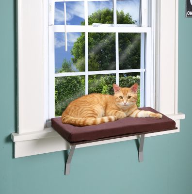 Photo 1 of  Deluxe Cat Window Perch