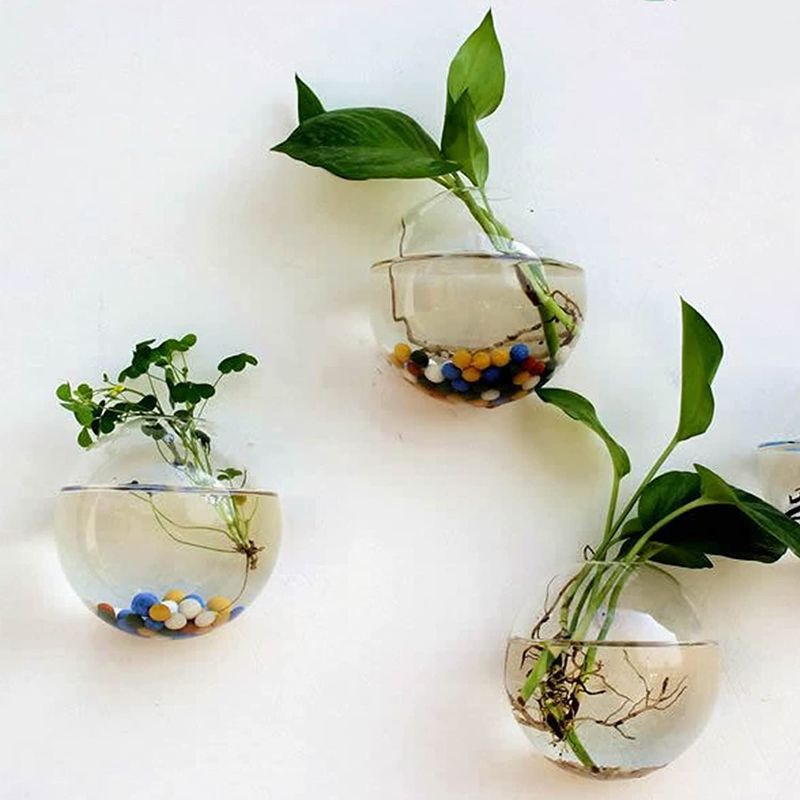 Photo 2 of 4 Wall Hanging Planters Terrarium, Glass Oblate Globe Plants Containers Wall Mount Flower Vase for Propagating Hydroponics Plants, Air Plants, Succulents, 4.7" D (Plants Not Included)