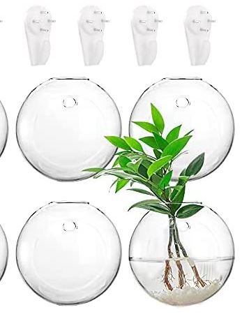 Photo 1 of 4 Wall Hanging Planters Terrarium, Glass Oblate Globe Plants Containers Wall Mount Flower Vase for Propagating Hydroponics Plants, Air Plants, Succulents, 4.7" D (Plants Not Included)
