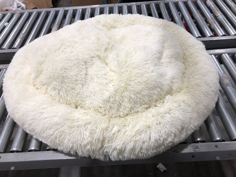Photo 1 of 42" Dog Bed