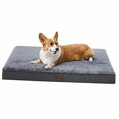 Photo 1 of 35x22 Grey Dog Bed (medium)