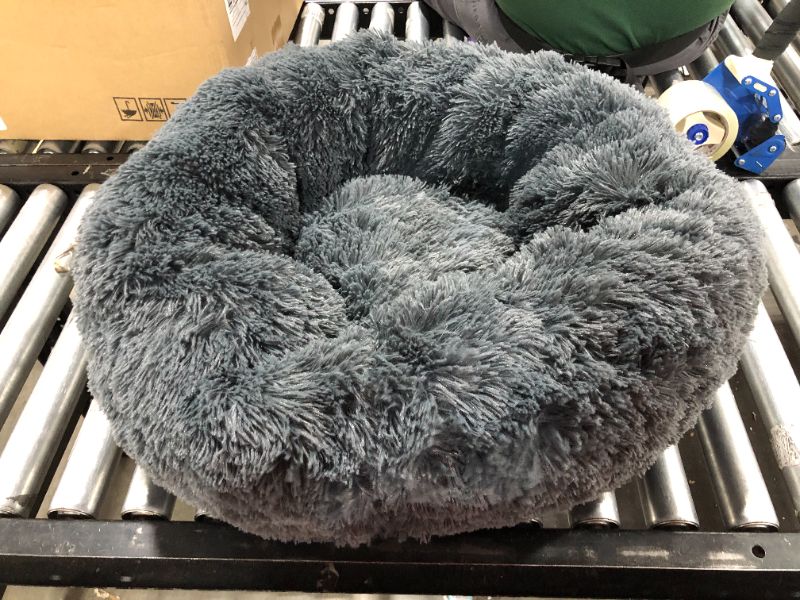 Photo 1 of 22 inch Grey Dog Bed