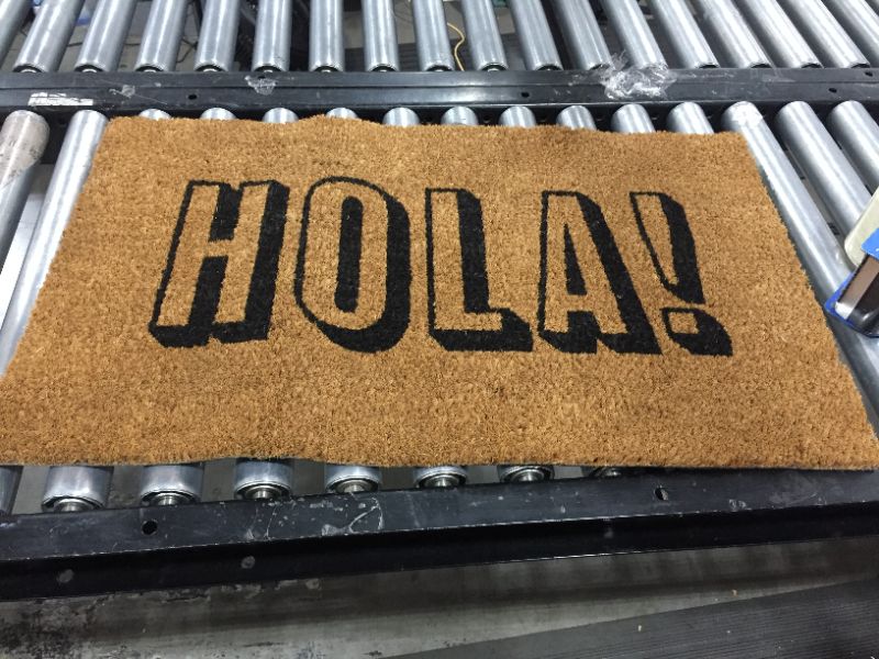 Photo 2 of 1'6"x2'6" Hola Doormat Natural - Threshold™

