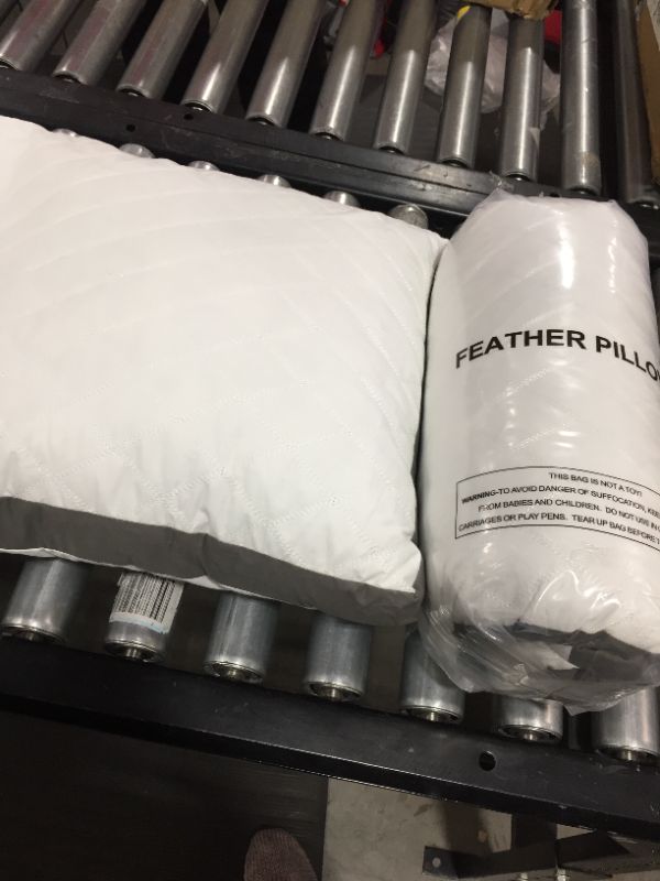 Photo 2 of 31X16 WHITE FEATHER PILLOW 2PK 