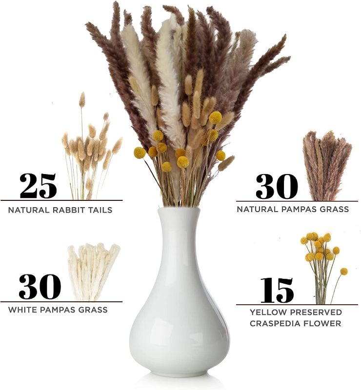 Photo 1 of 100 PCS of Assorted Pampas Grass Set , Pampas Grass Include White Pampas Grass and Natural Dried Pampas , Great for Boho Living Room Decor and Boho Kitchen Decor , Vase not Included
