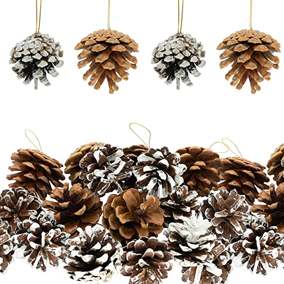 Photo 1 of 28 pcs Natural Dried Christmas Pine Cones with String Holiday Pinecones Pine Cones Ornaments Xmas Pine Cones Fall Thanksgiving Christmas Party Decoration for DIY Crafts
