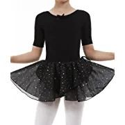 Photo 1 of Fancylovesotio Ballerina Outfits for Toddler Girls Dance Ballet Leotards Dress Tutu Skirt  (large)
