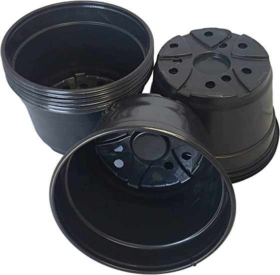 Photo 1 of 8" Mum Pot - Black Plastic Landmark Plastics - Nursery Pot (100)