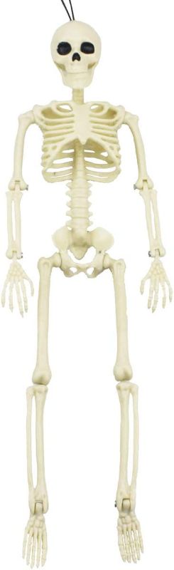 Photo 1 of 16” Posable Halloween Skeleton- Full Body Halloween Skeleton with Movable Joints for Haunted House Props Decorations------Lightly used 